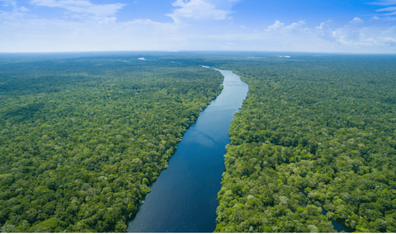 População da Amazônia recebe agentes de crédito do BASA