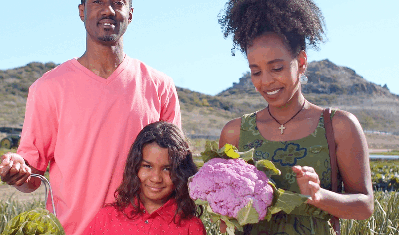 ASG é debate vital na COP 30. Entenda o porquê.