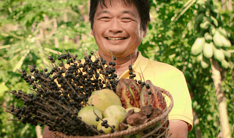 A Vida da Amazônia Começa em Você: tradição e sustentabilidade que transformam a floresta