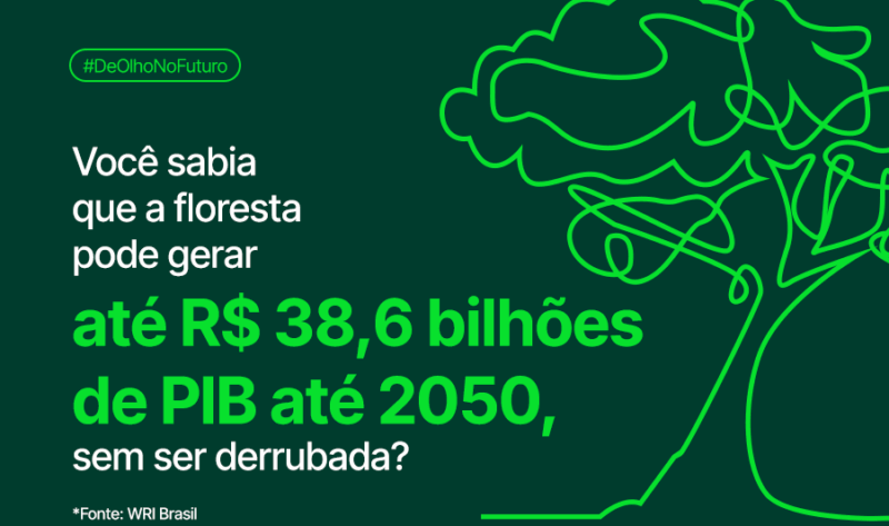 #DeOlhoNoFuturo: Bioeconomia como caminho para um futuro sustentável na Amazônia