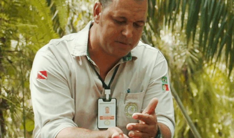 A Vida da Amazônia Começa em Você: a revolução do dendê sustentável no Pará