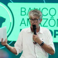 COP 30: 9º dia de conferência aborda pecuária sustentável