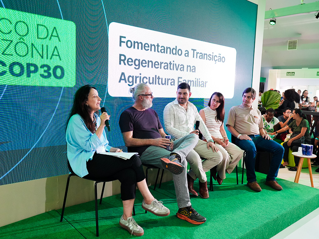COP 30 – Agricultura e pecuária sustentável - Foto 11
