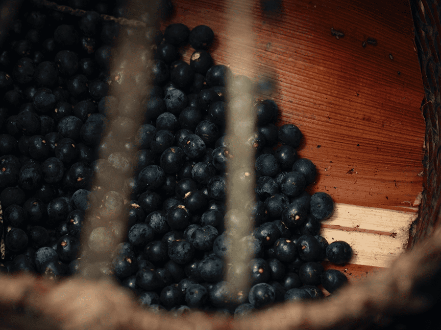 Sente o Clima Ilha do Combu