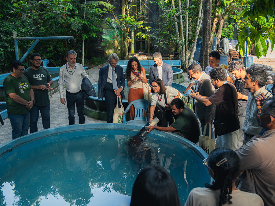 Evento MANAUS: AMABIO - Foto 11