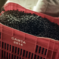 Uma nova vida começa aqui: nossa campanha celebra quem move a Amazônia