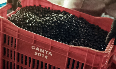 Uma nova vida começa aqui: nossa campanha celebra quem move a Amazônia