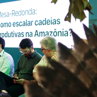 COP 30: Confira tudo o que aconteceu no 2º dia