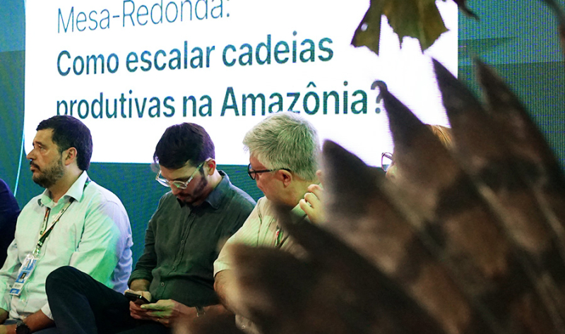 COP 30: Confira tudo o que aconteceu no 2º dia