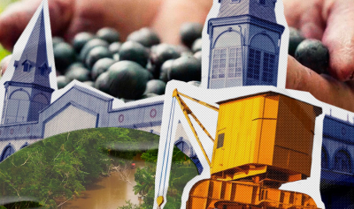 Roteiro de viagem para Belém: descubra o melhor da capital da COP 30.