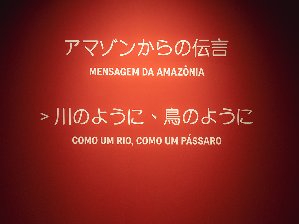 Exposição Ailton Krenak - Foto 13