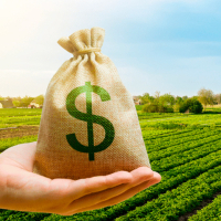 Comece 2026 realizando sonhos: conheça 3 linhas de crédito para tirar as metas do papel