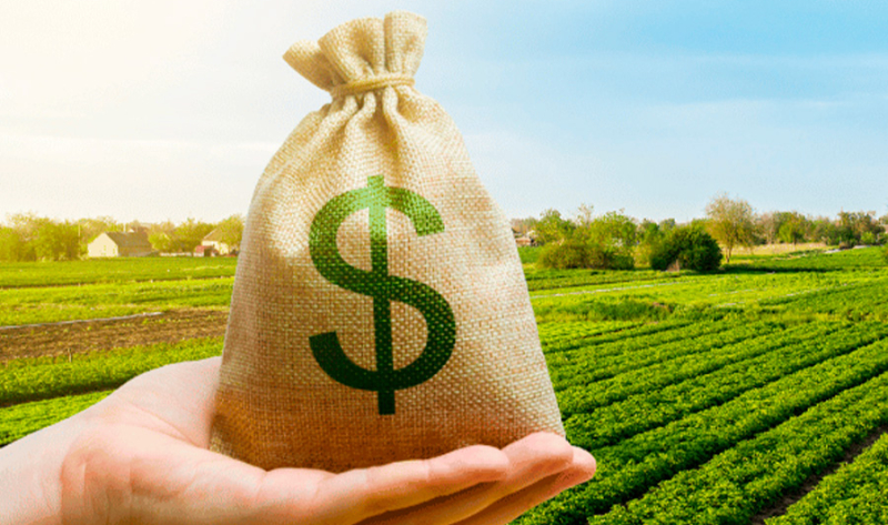 Comece 2026 realizando sonhos: conheça 3 linhas de crédito para tirar as metas do papel