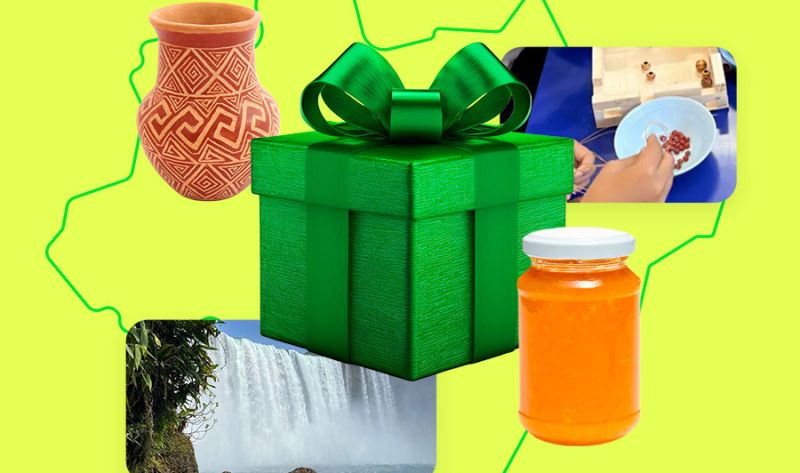 5 ideias de presentes da Amazônia para um Natal inesquecível