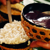 Açaí oficializado como fruto nacional: proteção contra biopirataria e oportunidades para a Amazônia em 2026