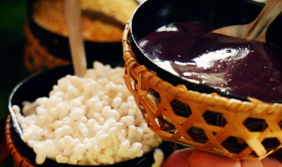 Açaí oficializado como fruto nacional: proteção contra biopirataria e oportunidades para a Amazônia em 2026