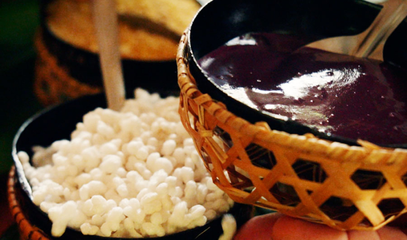 Açaí oficializado como fruto nacional: proteção contra biopirataria e oportunidades para a Amazônia em 2026