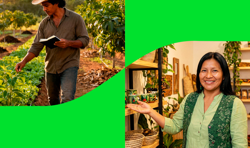 Do campo à cidade: como diferentes perfis acessam crédito no Banco da Amazônia