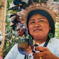 Solange e o tempo: quando o café indígena conquista o Brasil com apoio do Banco da Amazônia