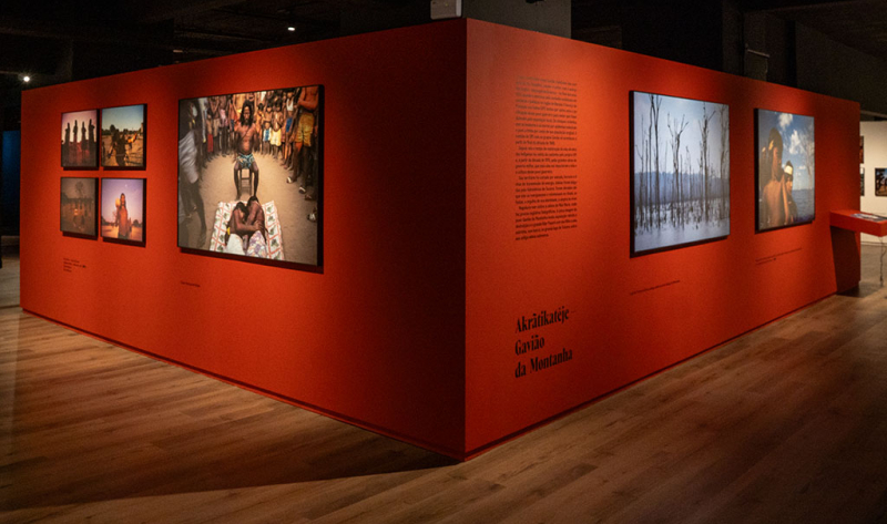 Programação especial com Ailton Krenak e Hiromi Nagakura celebra os 410 anos de Belém