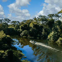 O desenvolvimento do Brasil passa pela Amazônia e nós explicamos o porquê