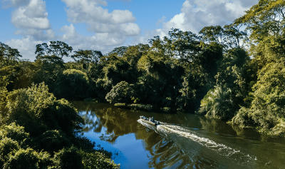 O desenvolvimento do Brasil passa pela Amazônia e nós explicamos o porquê