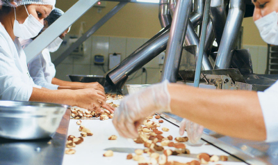 Da floresta ao prato: 7 produtos da bioeconomia que salvam a Amazônia e geram renda para famílias