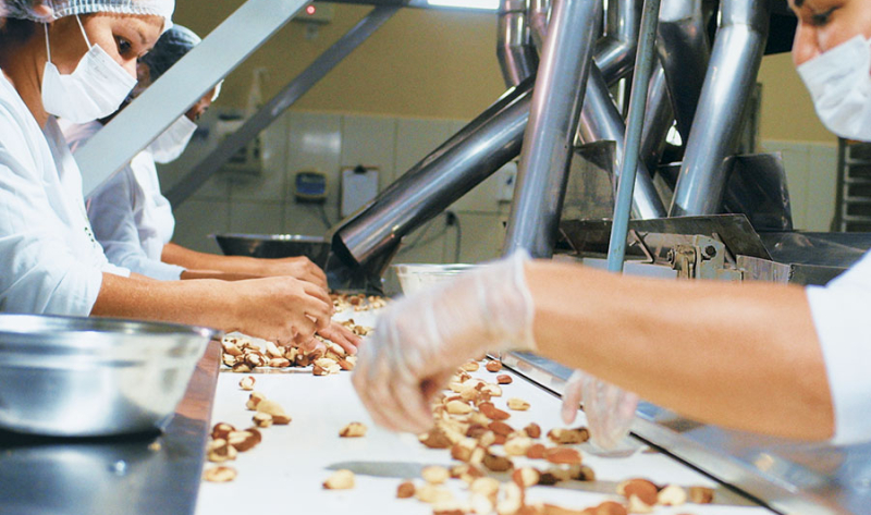 Da floresta ao prato: 7 produtos da bioeconomia que salvam a Amazônia e geram renda para famílias