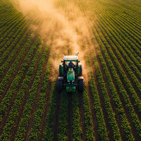 LCA: A escolha inteligente para quem busca segurança, rentabilidade e isenção