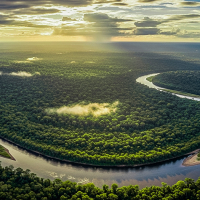 Como o Banco da Amazônia vê e investe na riqueza viva da Floresta
