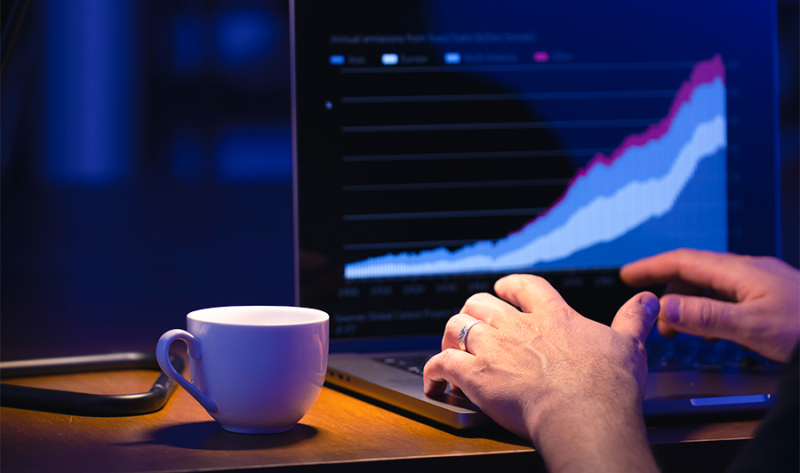 Passo a passo para montar sua carteira de investimentos