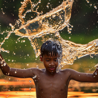 Ouro azul: a água como o sistema circulatório da Amazônia