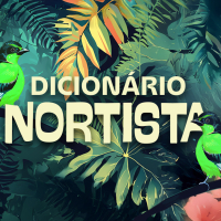 Dicionário Nortista: A riqueza das expressões que dão identidade à nossa região