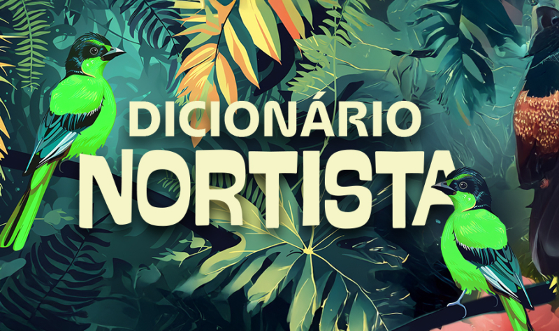 Dicionário Nortista: A riqueza das expressões que dão identidade à nossa região