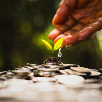 Invista no que é nosso: Como a sua LCA financia o progresso da Amazônia