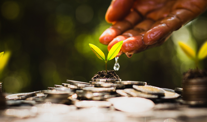 Invista no que é nosso: Como a sua LCA financia o progresso da Amazônia