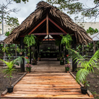 Belém para desacelerar: natureza, cultura e arte em um só passeio