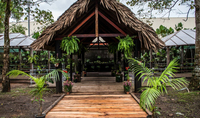 Belém para desacelerar: natureza, cultura e arte em um só passeio