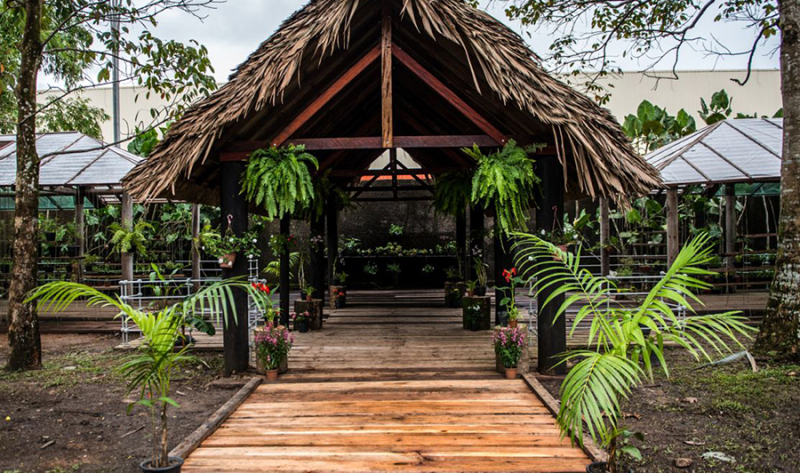 Belém para desacelerar: natureza, cultura e arte em um só passeio