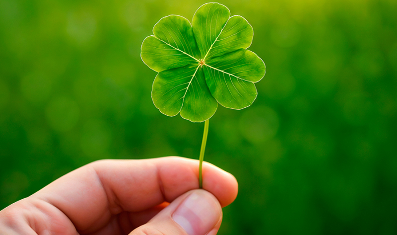 Saberes da nossa terra: as superstições que moldam o imaginário amazônico