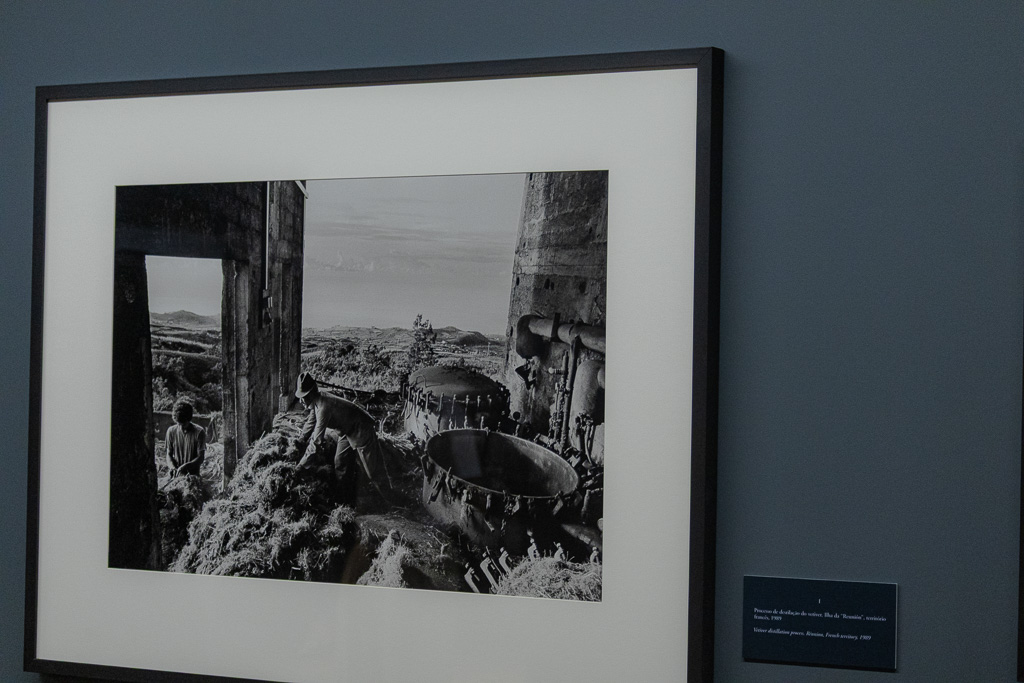 Vernissage – Exposição “Trabalhadores” - Foto 71