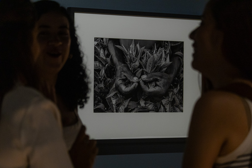 Vernissage – Exposição “Trabalhadores” - Foto 42