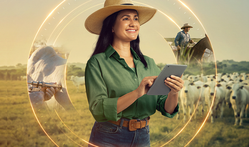 Como o Custeio do Banco da Amazônia fortalece as culturas que são a cara da nossa região