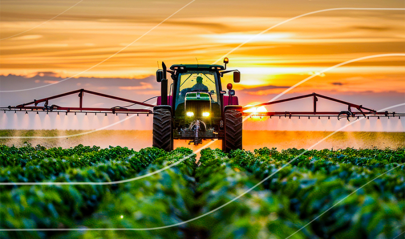 Fundo Rural+Verde: a inovação financeira a serviço da agricultura regenerativa e do produtor local
