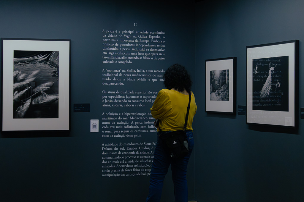 Uma Noite no Museu - Foto 63