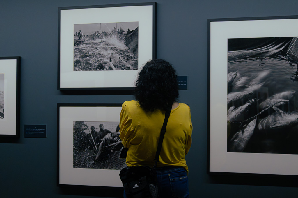 Uma Noite no Museu - Foto 28
