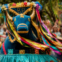 Fé, ritmo e tradição: o Arraial do Pavulagem e a celebração da identidade paraense nas ruas de Belém