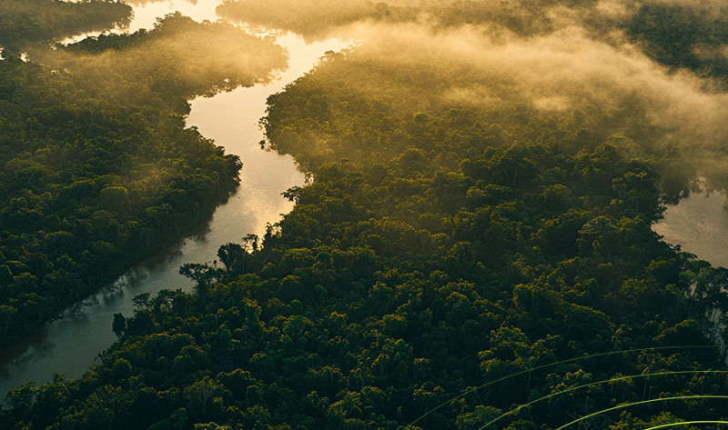 II Semana do Clima da Amazônia: Belém sedia o principal encontro pós-COP30 sobre sustentabilidade e bioeconomia