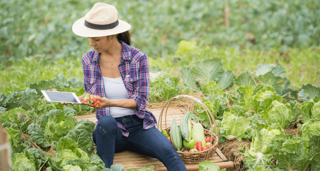 Guia do Programa de Financiamento à Mulheres Agricultora