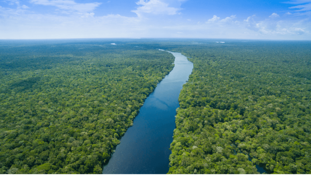 amazônia